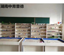 教學用具 教學模型的實體化延伸與課堂實踐應用